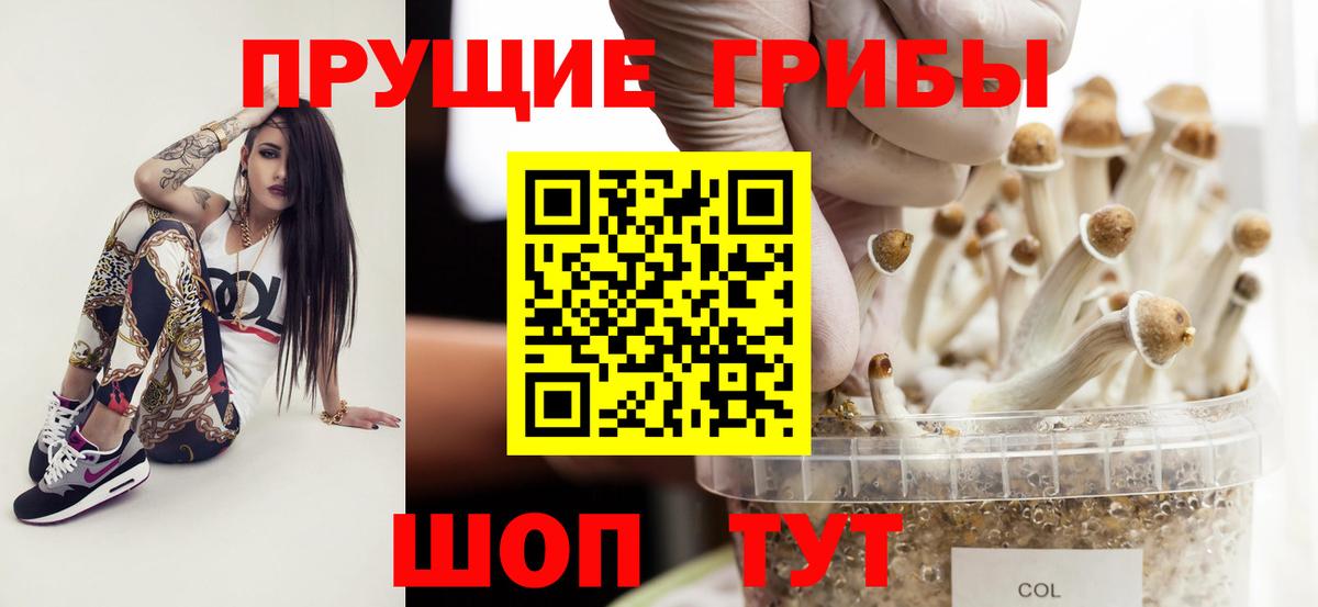 Орехово-Зуево  Псилоцибиновые грибы мухоморы  купить   Вход с VPN 