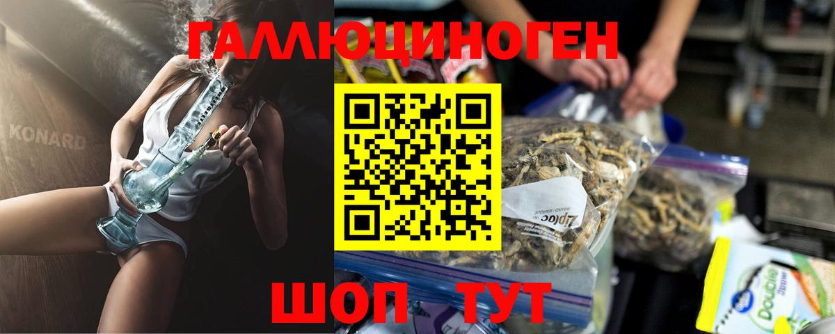 Галлюциногенные грибы Psilocybine cubensis Орехово-Зуево